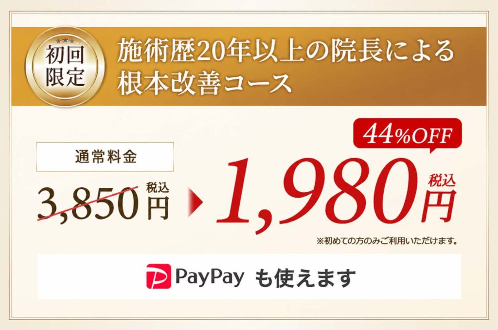 初回限定割引オファー